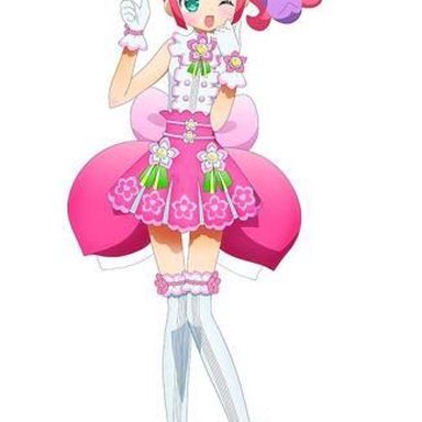 Pripara