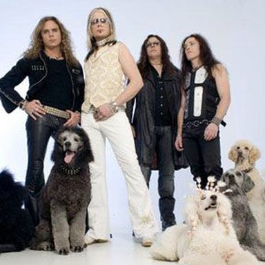 The Poodles