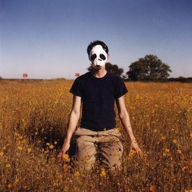 Panda Bear