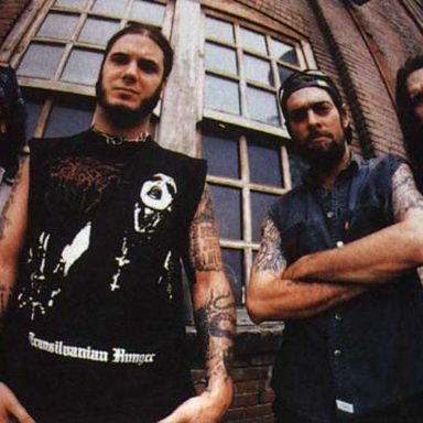Pantera photo 11