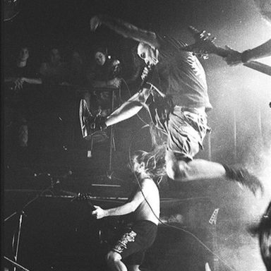 Pantera photo 20