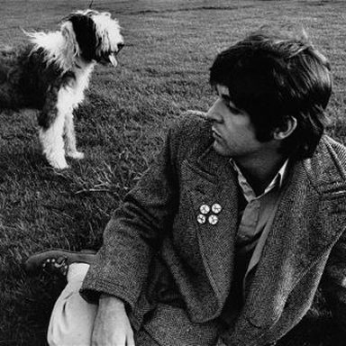 Paul McCartney photo 33