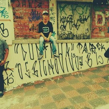 Raiz do Morro
