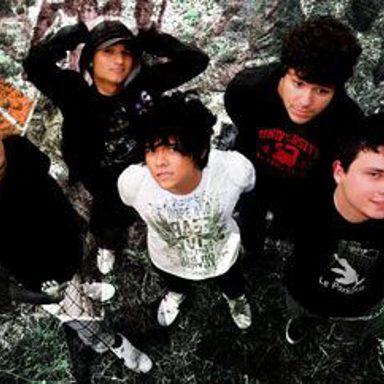 Rapeize