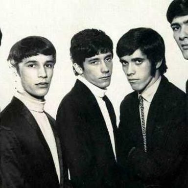 Raulzito e Os Panteras