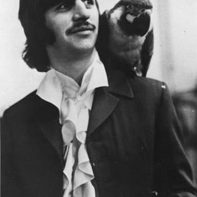 Ringo Starr photo 36