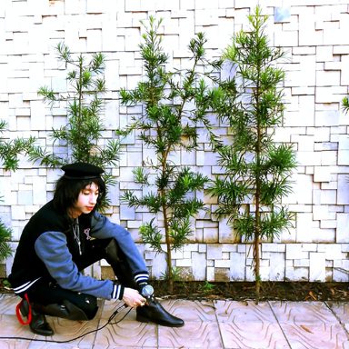 Rafolino photo 15