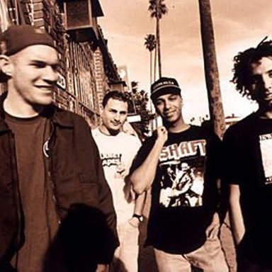 Rage Against The Machine photo 15
