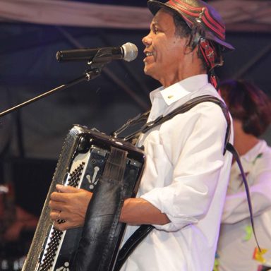 Raimundinho do Acordeon