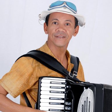 Raimundinho do Acordeon photo 10