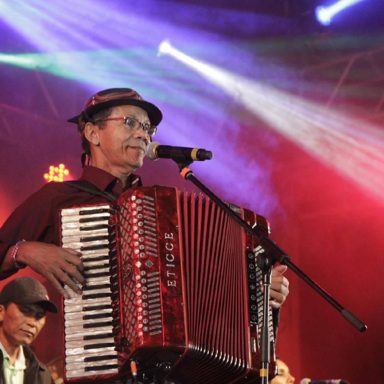 Raimundinho do Acordeon