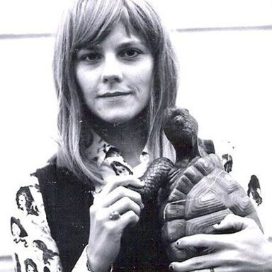 Scout Niblett