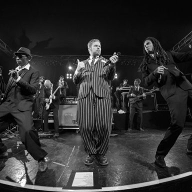 Seeed