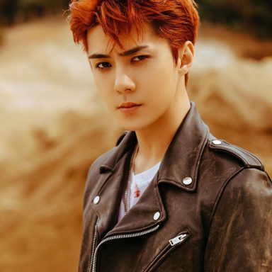 Sehun photo 12
