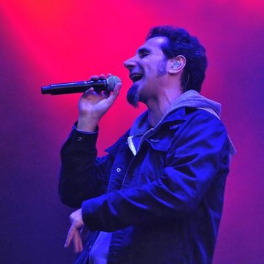 Serj Tankian photo 15