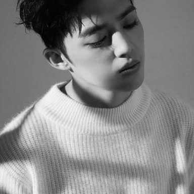 SEVENTEEN photo 28