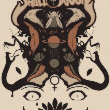 Shallow Void