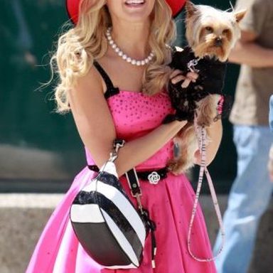 Sharpay's Fabulous Adventure