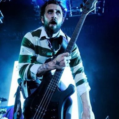 Shinedown photo 11