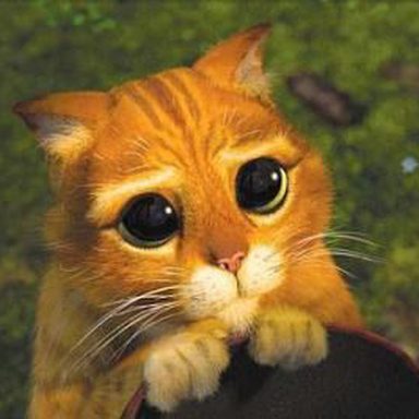 Shrek photo 10