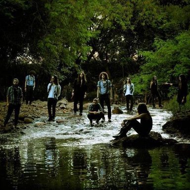 Stolen Byrds