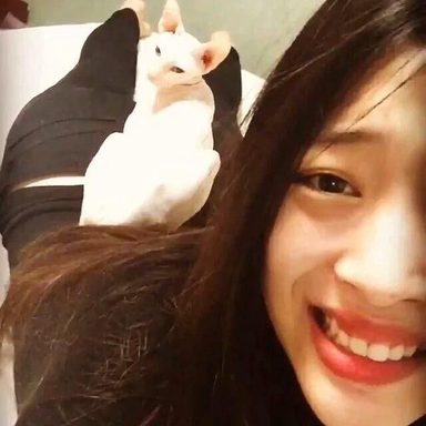 Sulli