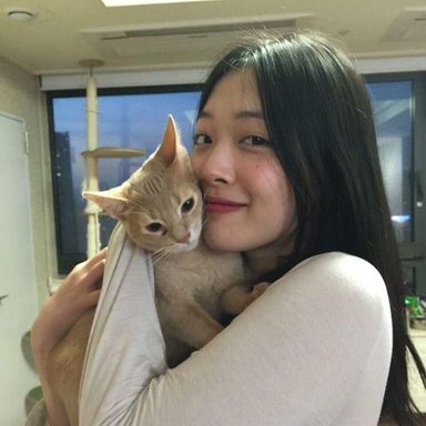 Sulli