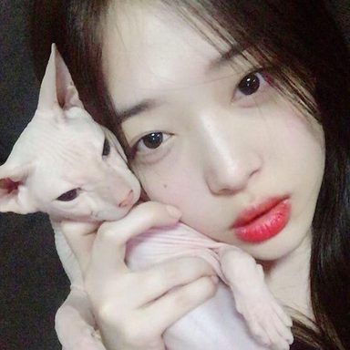 Sulli photo 16