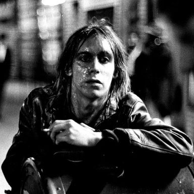The Stooges
