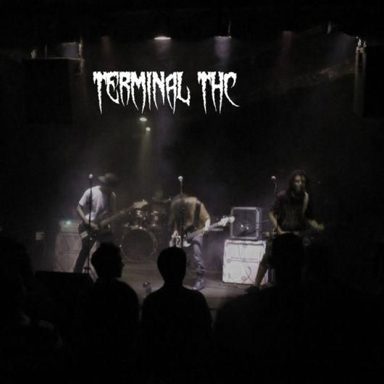 Terminal THC