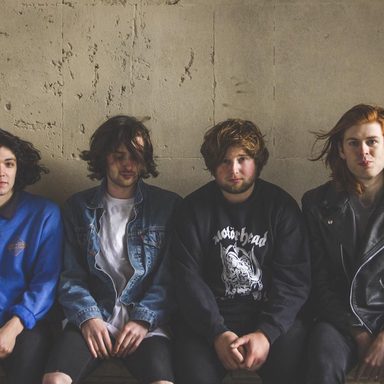 The Amazons
