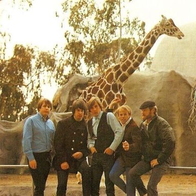 The Beach Boys