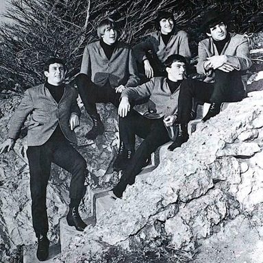 The Beau Brummels
