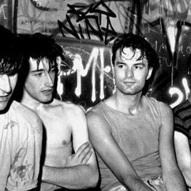 The Chameleons
