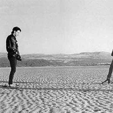 The Chameleons