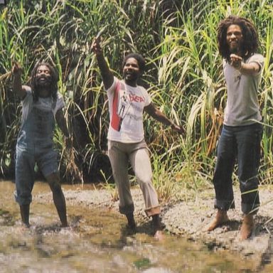 The Congos