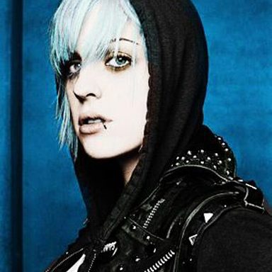The Distillers photo 19