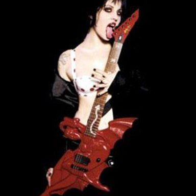 The Distillers photo 14