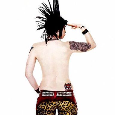 The Distillers photo 24