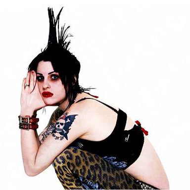 The Distillers photo 23