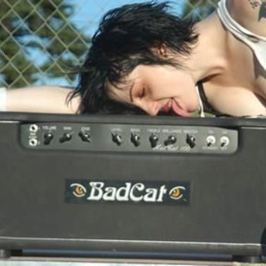 The Distillers