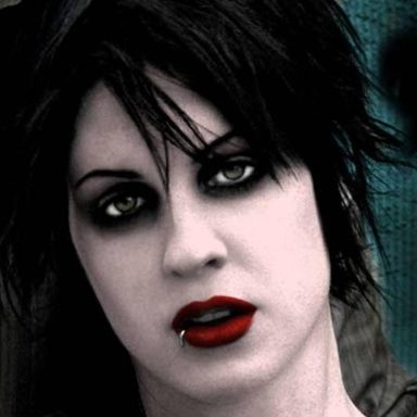 The Distillers