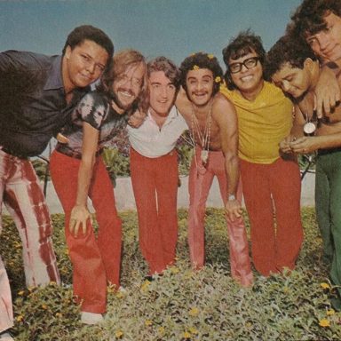 The Fevers