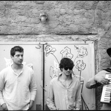The Felice Brothers