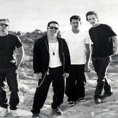 The Flys