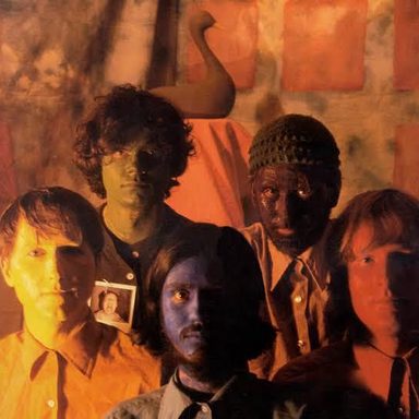 The Olivia Tremor Control