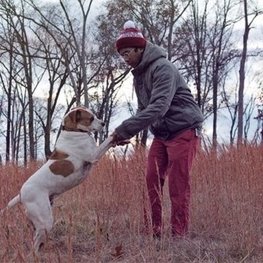 Toro Y Moi