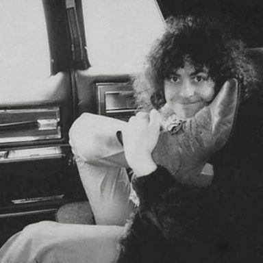 T. Rex photo 12