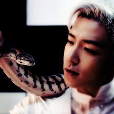T.O.P photo 18