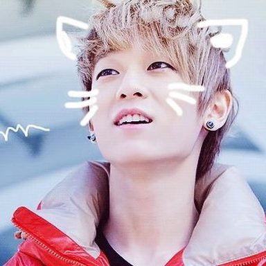 Teen Top photo 77